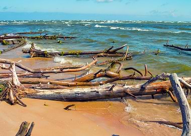 Baltic Beach Blue Bright C