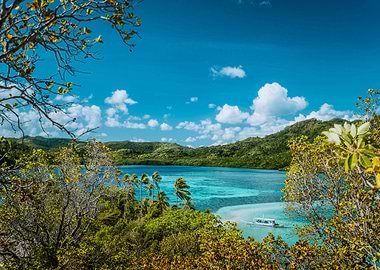 Beautiful View Of A Tropic