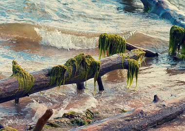 Baltic Beach Blue Bright C