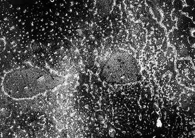 Spray painting texture