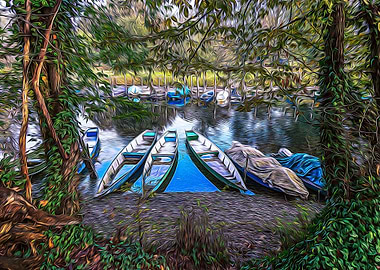 Boats moored on the Ticino
