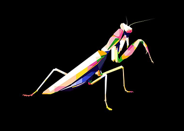 Mantis Pop Art