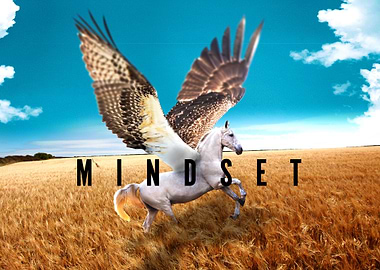 M I N D S E T