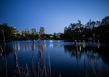 Blue Hour Reston