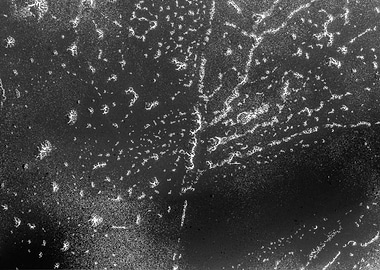 Spray painting texture