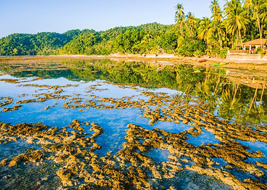 Beautiful Morning Reflecti