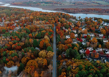 Autumn leaves on the stree