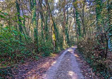 Country road in a forest