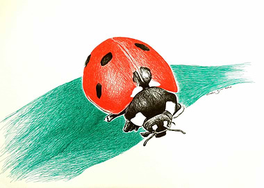 Lady Bug