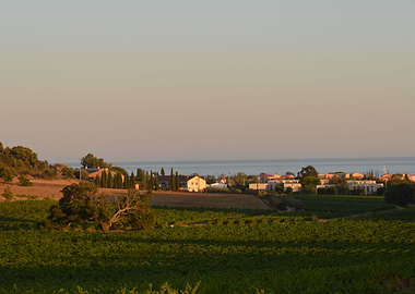 Plain Green Village Sea