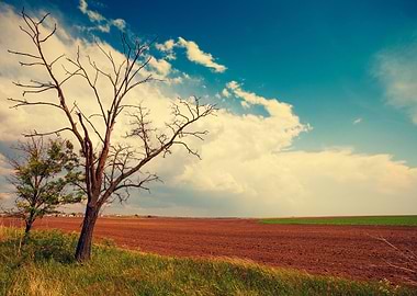 Agriculture Arable Beam Bi