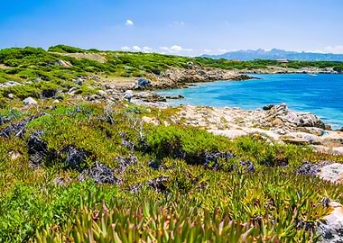 Beautiful Costline With Gr