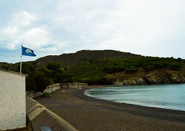 Beach and Blue Ocean