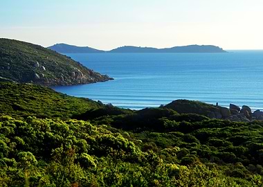 Coastline Coast Wilderness