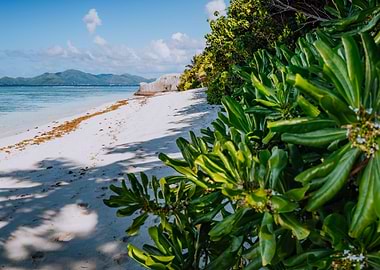 Anse Source DArgent Paradi