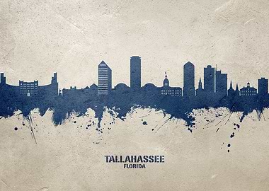 Tallahassee Skyline