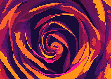 Rainbow rose closeup