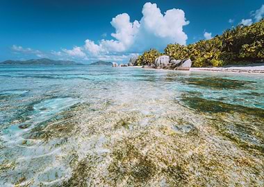 Anse Source DArgent Parad