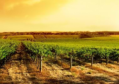 Landscape Scenic Tourism T