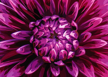 Purple Dahlia flower