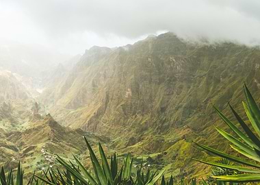 Agava Plants And Rocky Mou