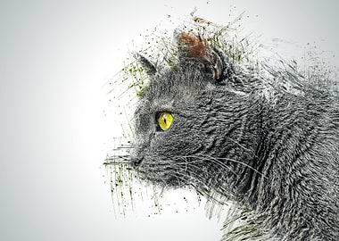 Cat Animal Illustration