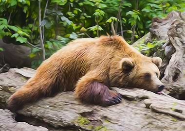 Cute Brown Bear