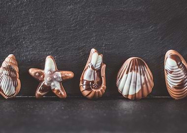 Seafood shaped chocolates