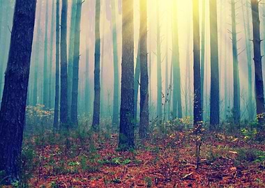 Autumn Botanical Fall Fall