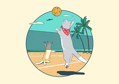 Cat volleyball funny cats