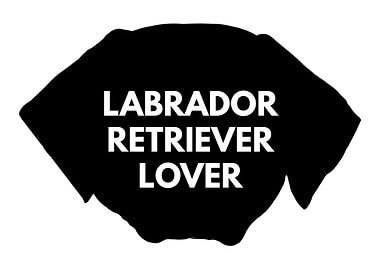 Labrador Retriever Lover