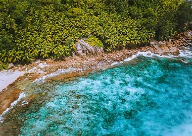 Aerial Drone Shot Of Palm