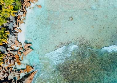 Aerial Drone Bird Eye Shot