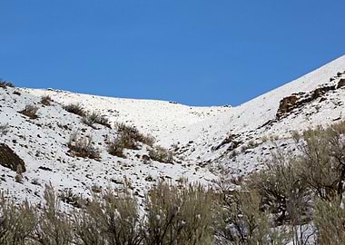 Image Picture Background