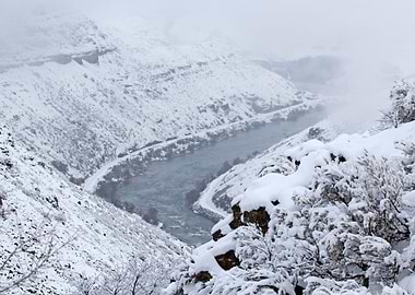 Image Picture Wallpaper