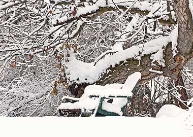 Image Picture Background