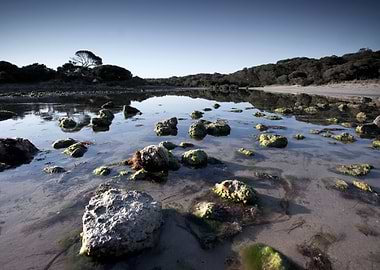 Stream Brook Water Rocks L