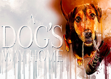 A dogs way home