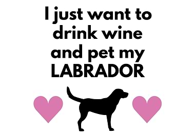 I want to drink wine and s