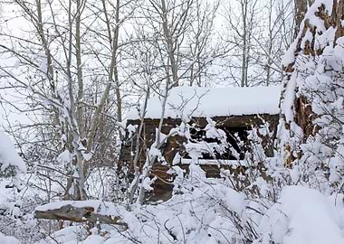 Image Picture Background