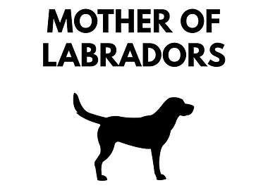 Mother of Labrador