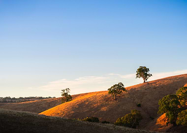 Aussie Australia Beauty Cl