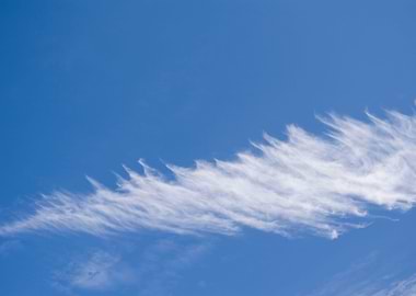 Blue Coast Kiel Landscape
