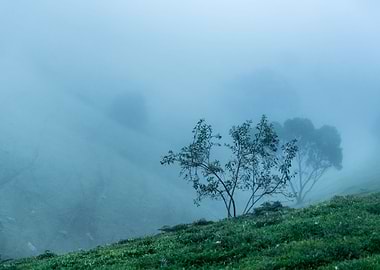 Anxiety Australia Cold Con