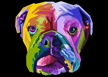 colorful engglish bulldog