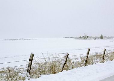 Image Picture Background