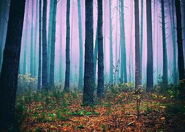 Rainy Autumn Blue Dark Dar