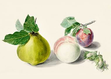 Pear and plum