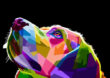 Colorful dog head pop art