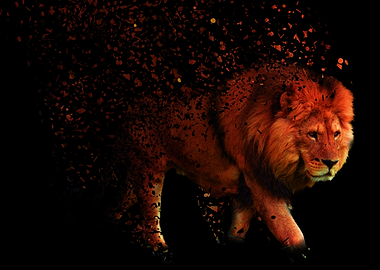Lion Dispersion